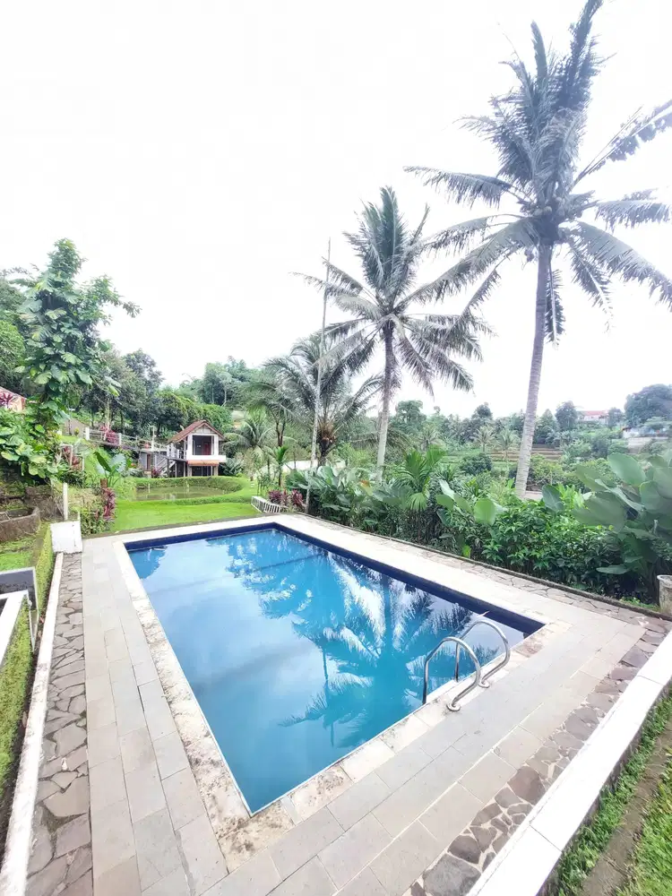 Villa Di Bogor Nyaman Asri Dengan Suasana Pedesaan Di Dramaga Bogor