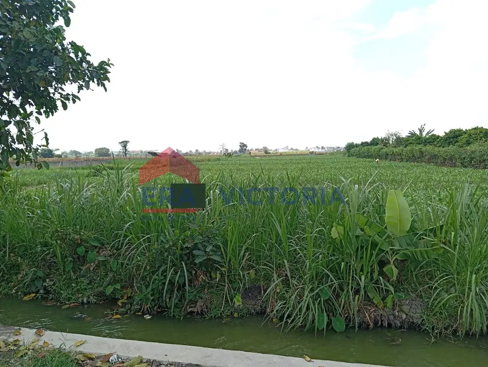Tanah 3484 m2 Dijual di Area Kampung Inggris Pare Kab Kediri