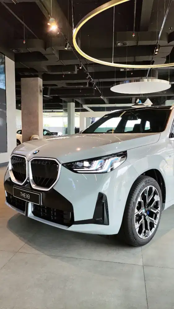 BMW X3 20xDrive A/T Dune Grey