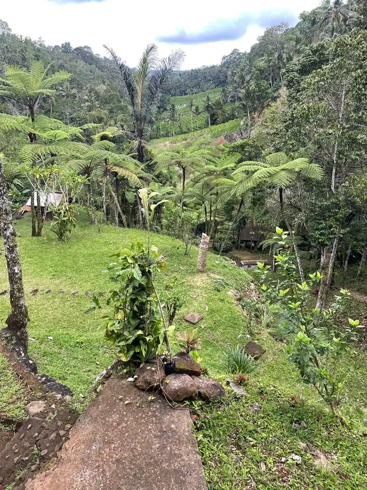 Tanah view waterfall kawasan pupuan bali