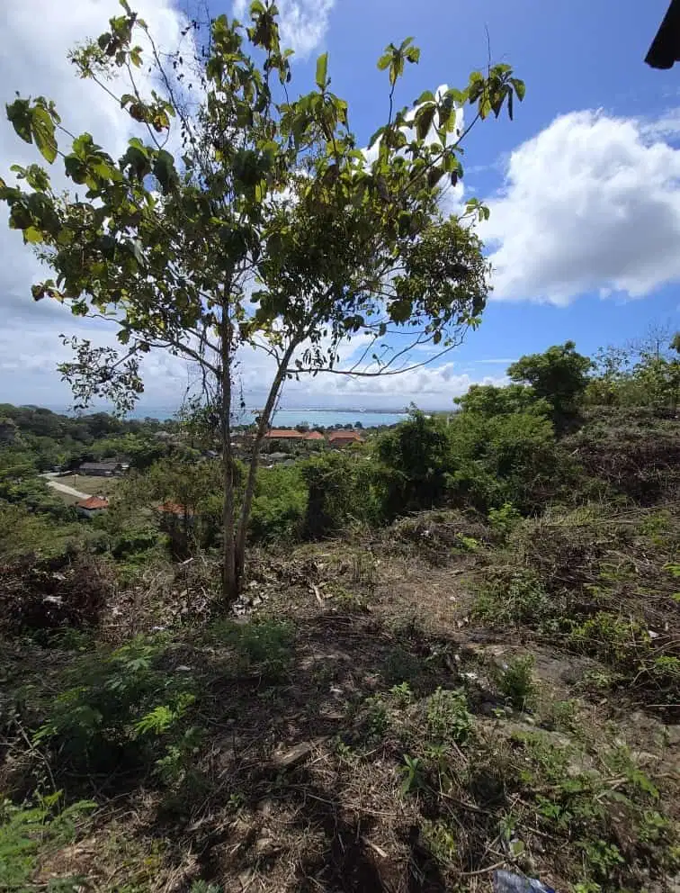 TANAH 1,2 HEKTAR JALAN RAYA UTAMA ULUWATU