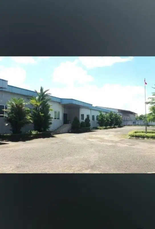 Pabrik Ikan Frozen Lengkap