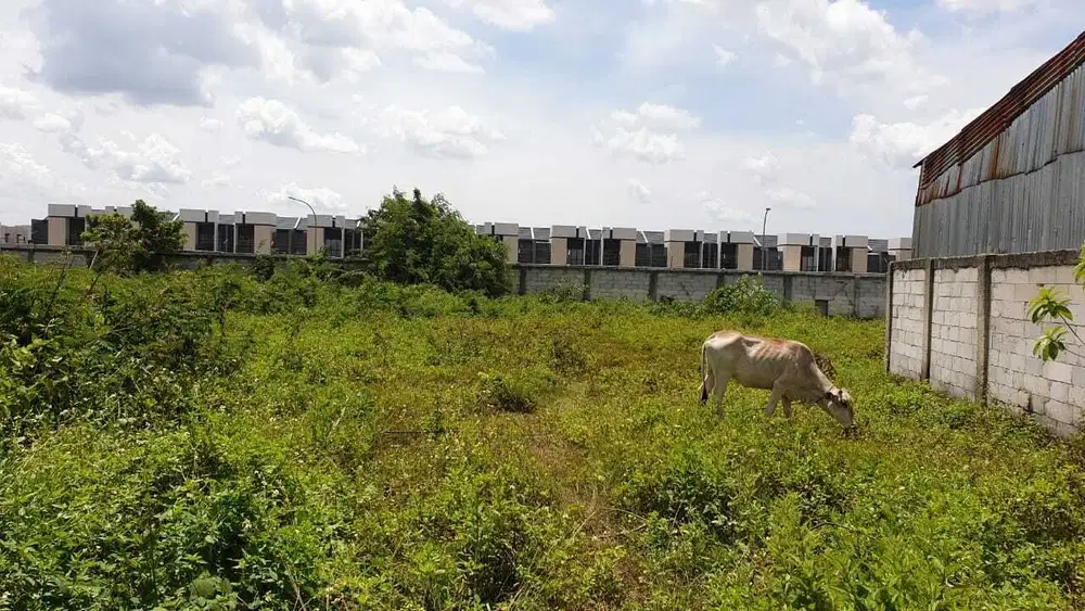TANAH NEMPEL SUVARNA SUTERA SUDAH SHM