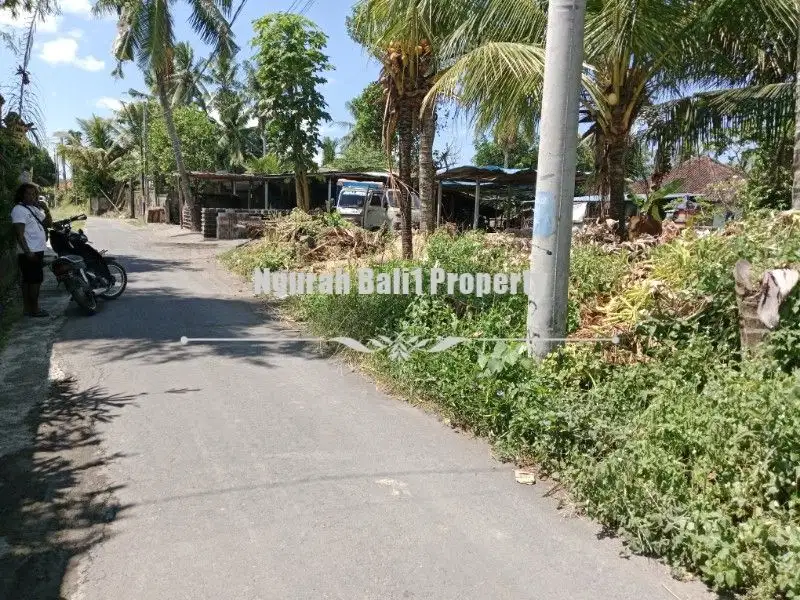 Dijual Tanah Murah Luas 215 m2 di Lodtunduh Ubud