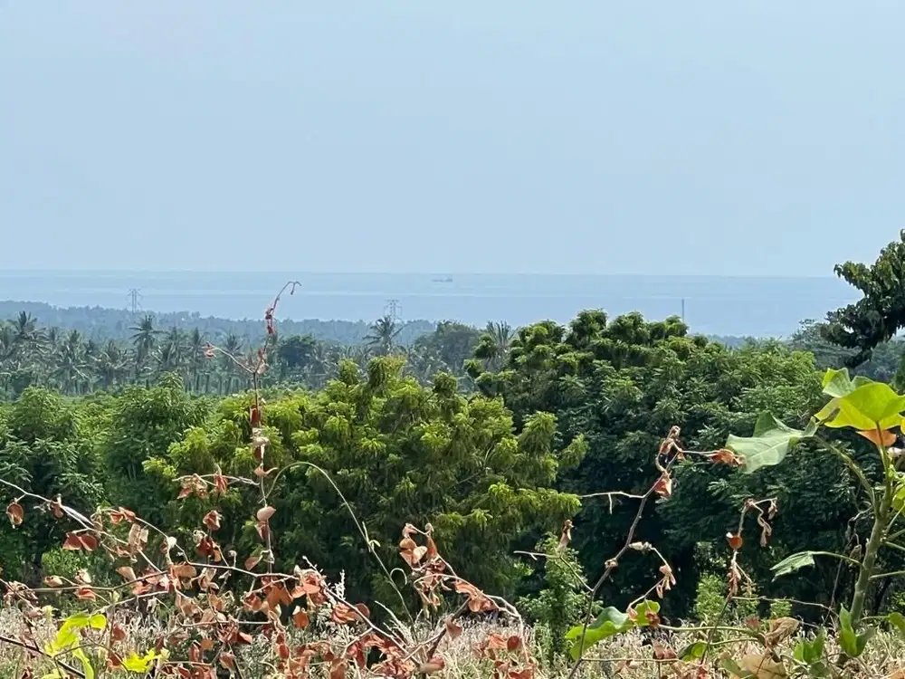 Tanah view laut Bayan Lombok utara