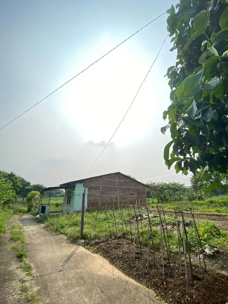 TANAH COCOK UNTUK INVEST JL PANGKALAN ASEM BEKASI