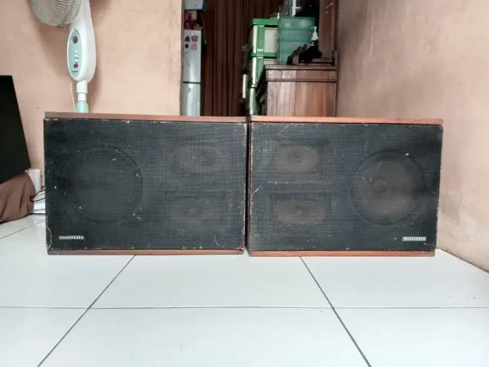 Speaker Vintage TELEFUNKEN