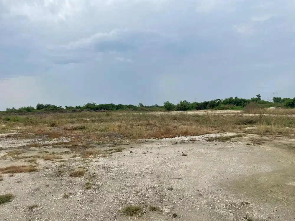 Lahan Tambak Osowilangon Siap Pakai Sudah Diurug