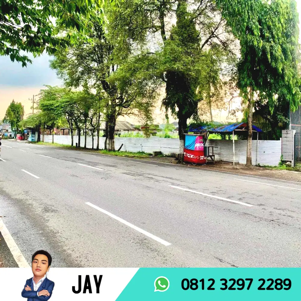 DIJUAL TANAH LUAS PINGGIR JALAN PROVINSI DEKAT ALUN ALUN JEMBER