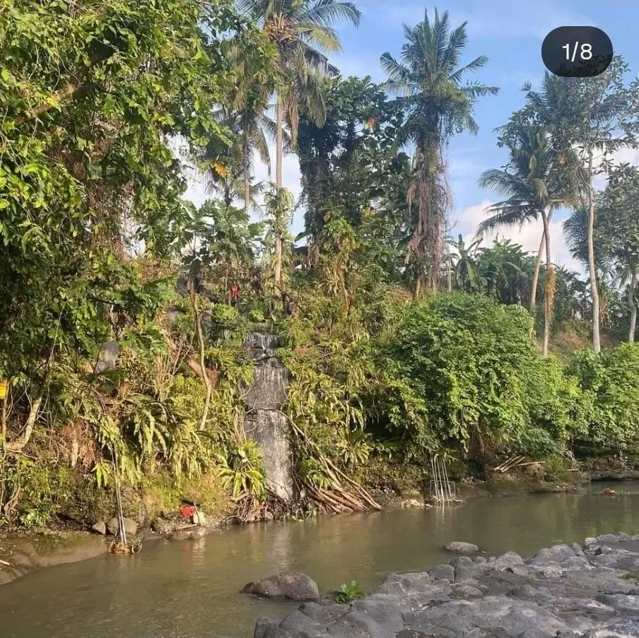 Tanah view sungai yang terletak di pantai Nyanyi