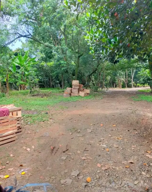 tanah akses bagus di balaraja untuk industi pabrik gudsng