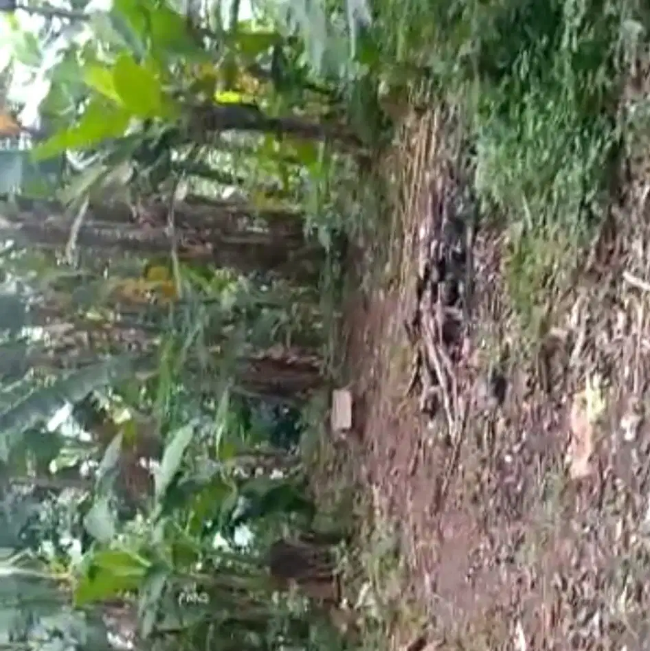 Rumah tua pinggir jalan hitung tanah di Jagakarsa Jaksel