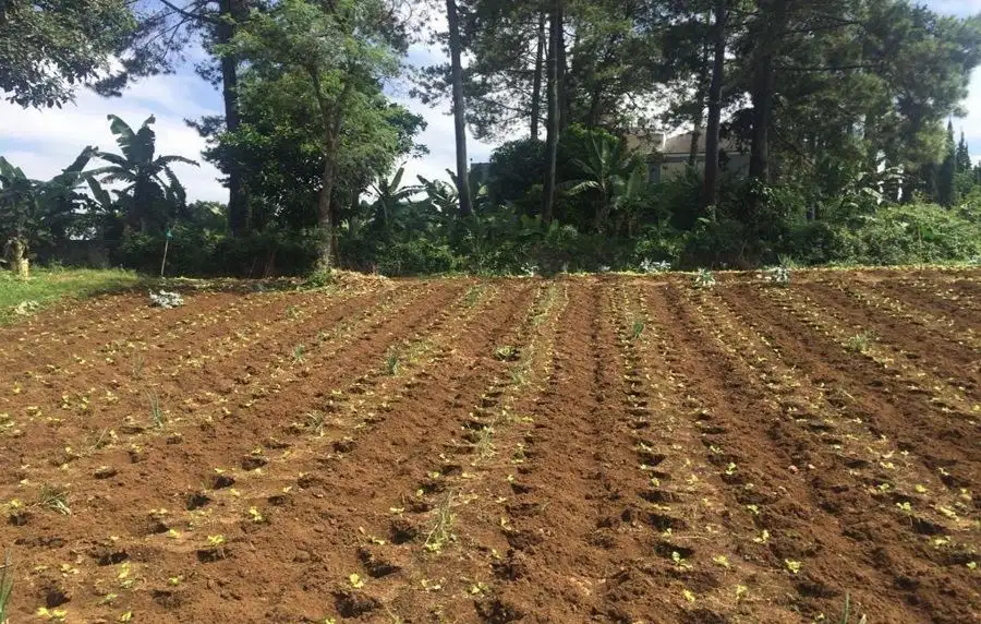 Dijual Cepat Tanah Lokasi Premium Jl Raya Setia Budi Bandung