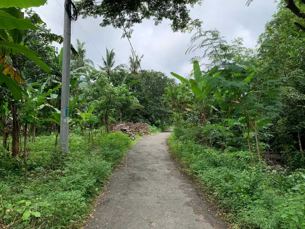 Tanah Malimbu dekat Resort Louis Kienne cocok untuk kebun