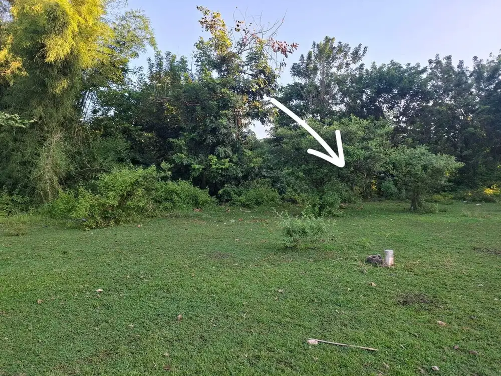 Tanah murah 6,5 are dikawasan central Ungasan