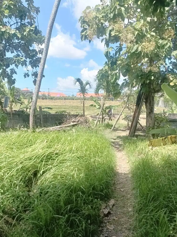 Tanah langka murah daerah Bumbak umalas