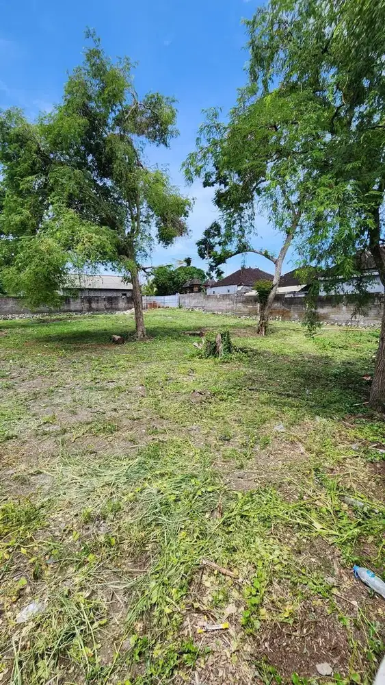 TANAH 9,95 ARE KAWASAN PANTAI PERERENAN