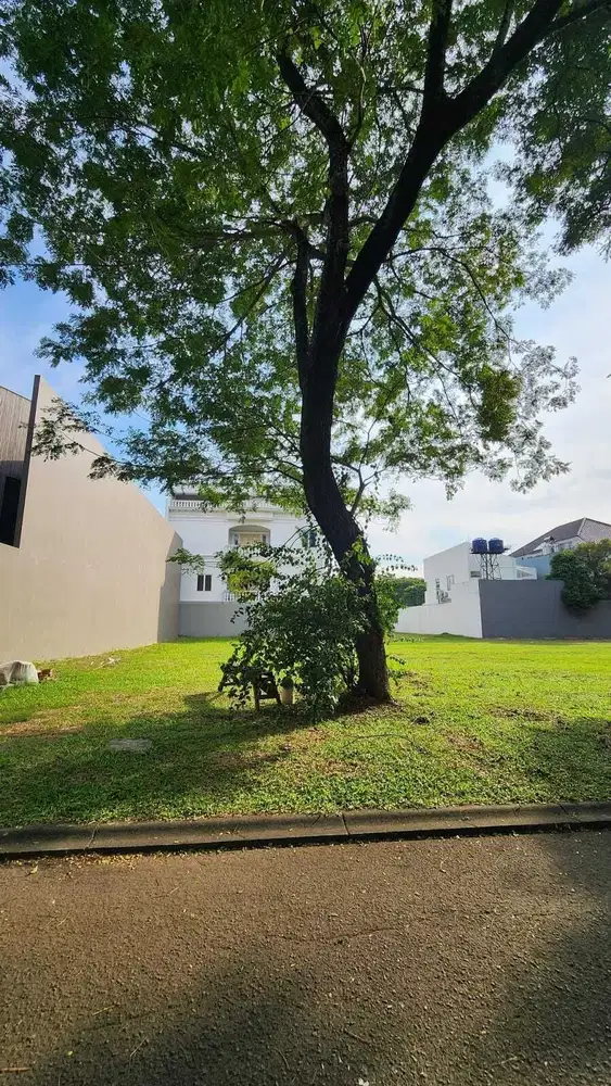 KAVLING TANAH SUTERA TELAGA BIRU ALAM SUTERA