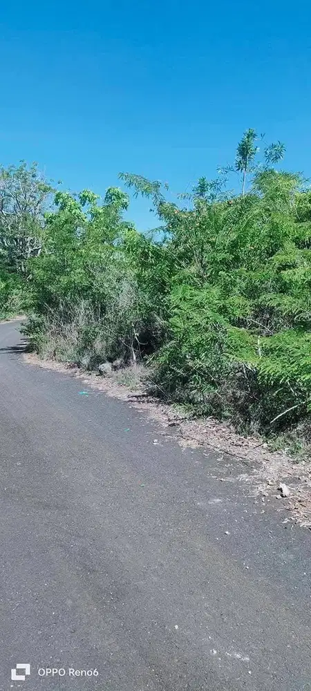 TANAH 75 ARE KAWASAN PANTAI PANDAWA