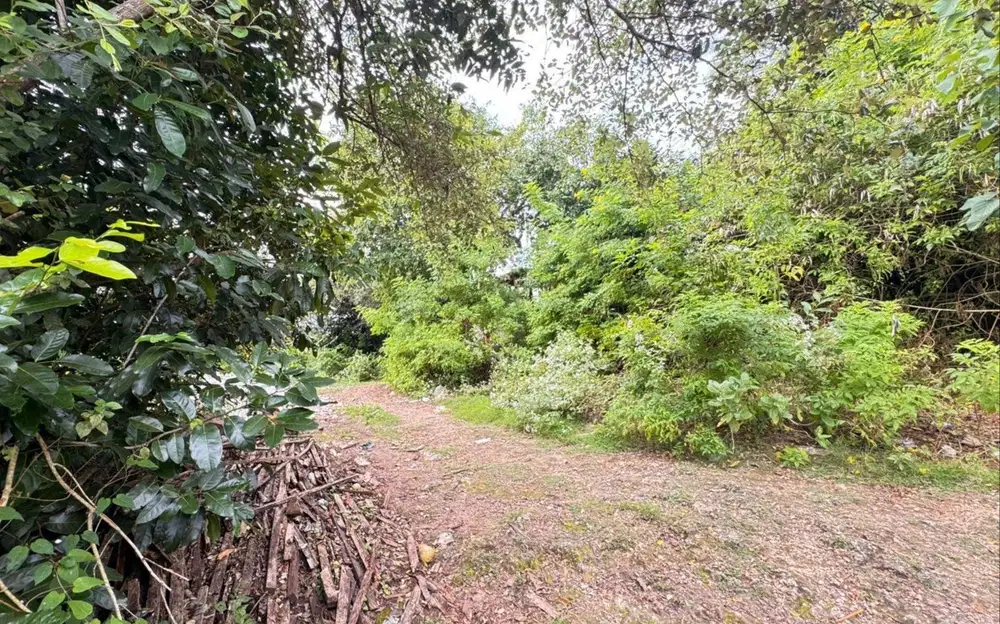 TANAH 212m²  JALAN RAYA ULUWATU UNGASAN