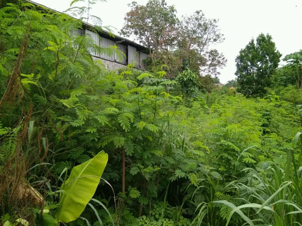 Tanah pinggir jalan raya Binong