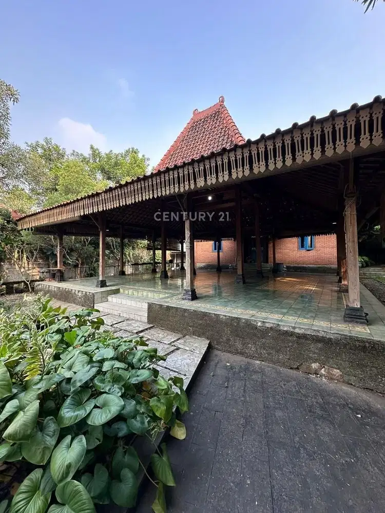 Rumah Tanah Luas Cocok Untuk Usaha Harga Murah Di Sektor 9 U14316