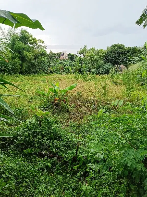 Dijual Tanah Siap Bangun di Cipayung Jakarta Timur