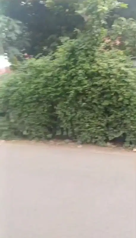 Info Broadcast Tanah Kavling