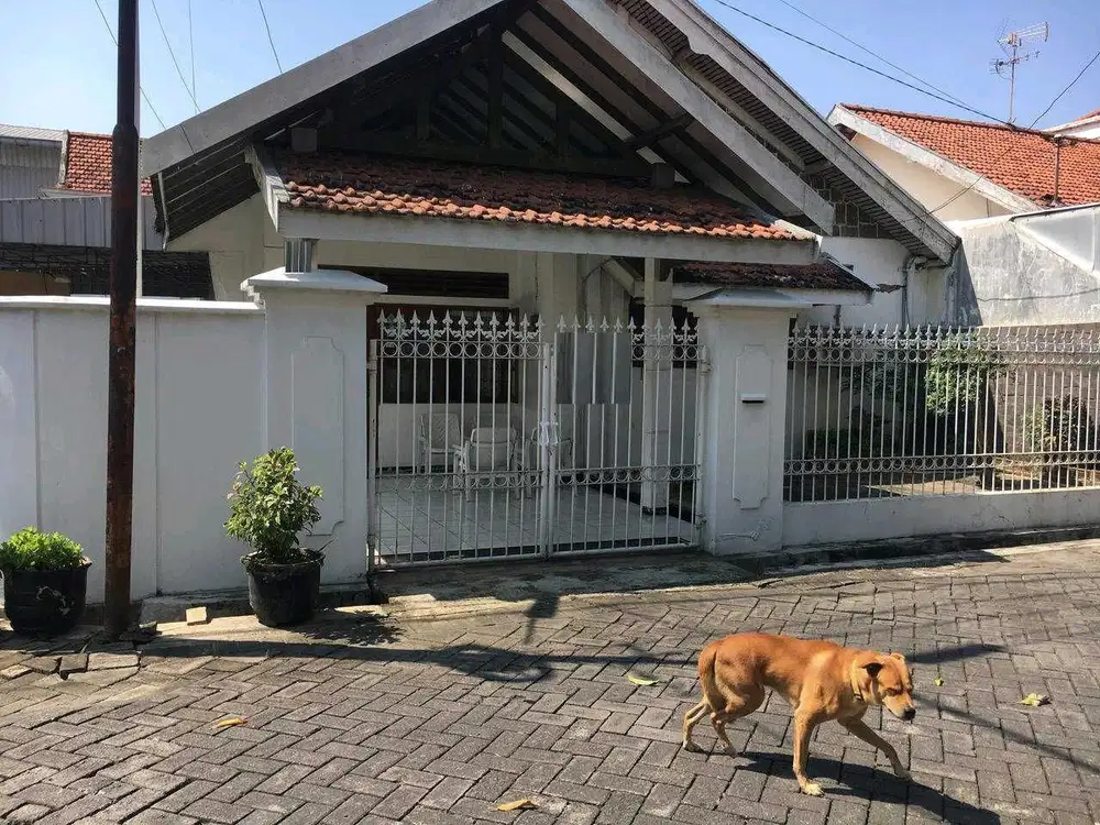 DIJUAL RUMAH NGAGEL JAYA UTARA GUBENG SURABAYA RON.A2536