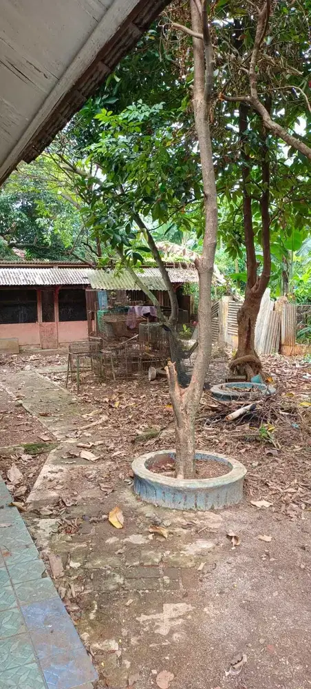 Dijual Rumah Hitung Tanah Luas di Nusa Loka BSD