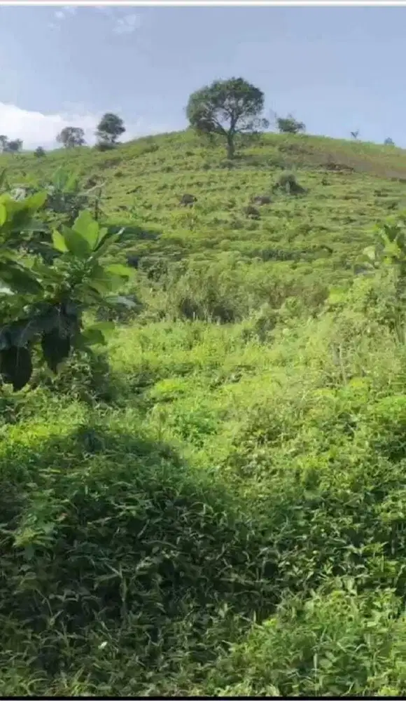 Dijual Tanah Kavling di Sentul Bogor