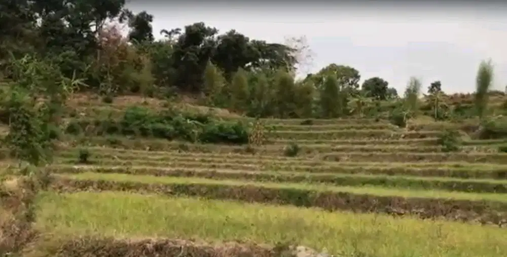 DIJUAL TANAH KEMIRI PACET MOJOKERTO RON.A2216