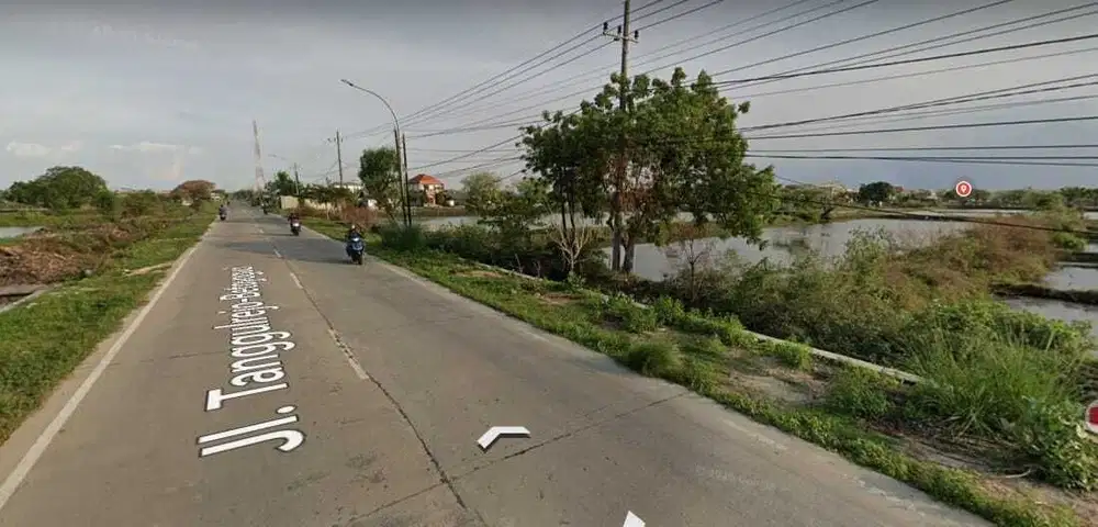 Jual tanah Nol jalan Manyar Gresik Jawa Timur