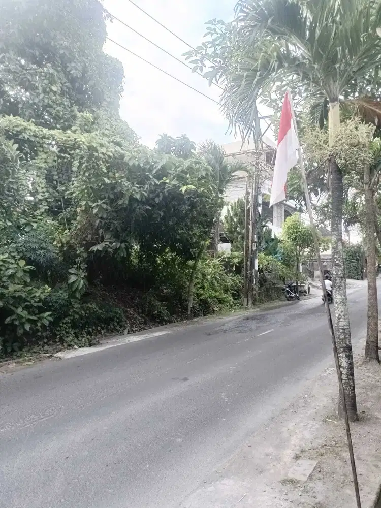 TANAH 776m² JALAN RAYA UTAMA BABAKAN CANGGU