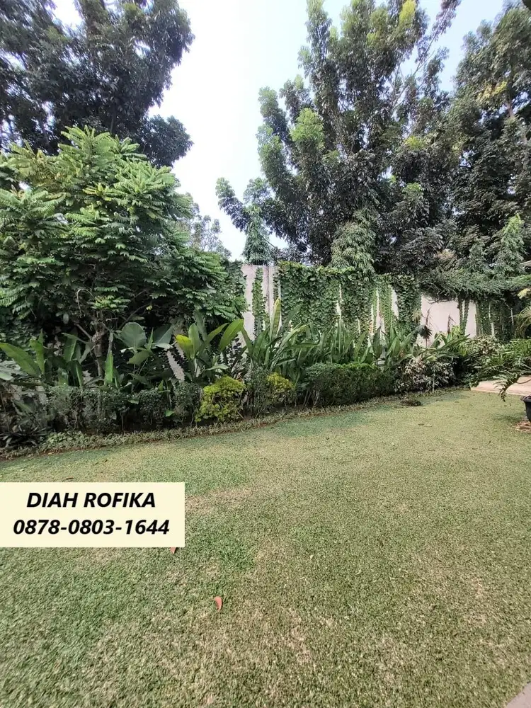 Rumah 1 Lantai Minimalis Halaman Super Luas di Senayan Bintaro GB11511