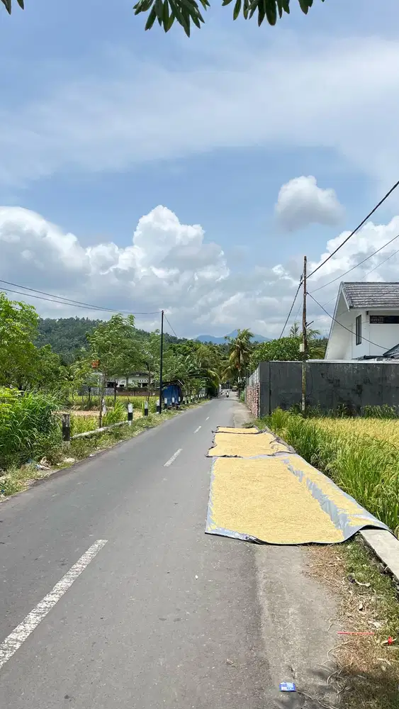 Tanah kapling sandik dekat Bale solah