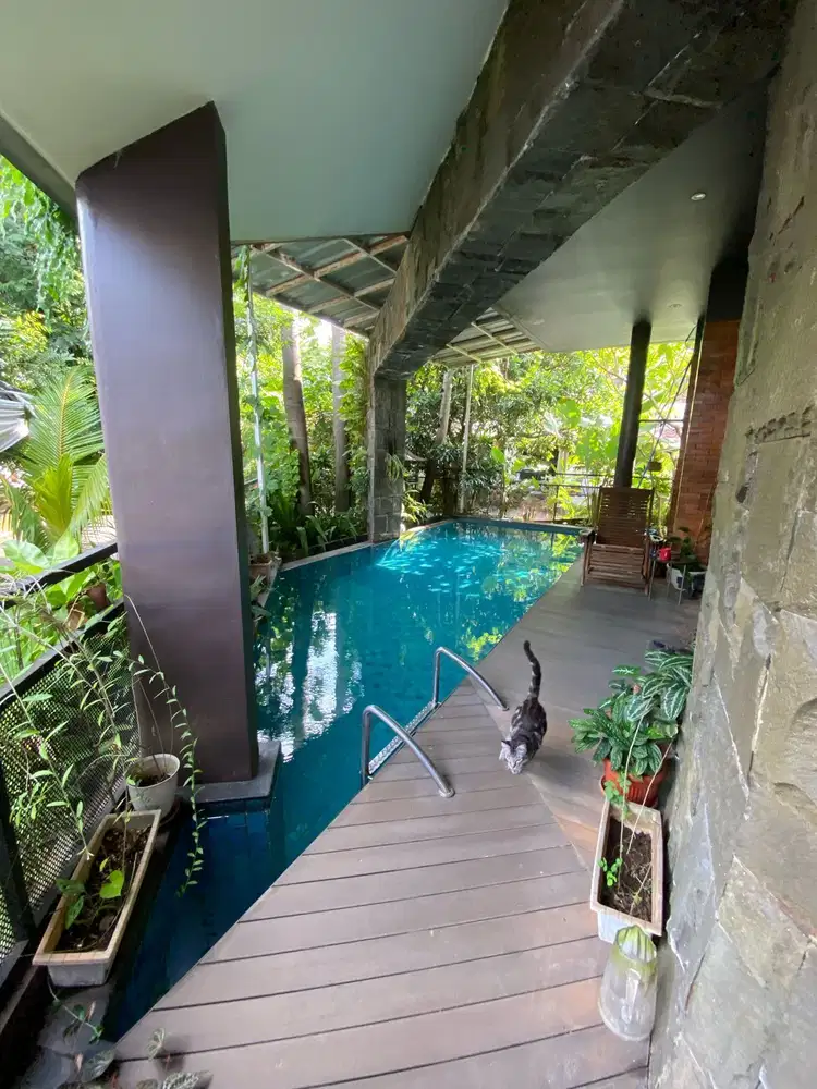 Rumah Mewah Estetik Depan Taman Swim Pool di Sektor 9 Bintaro fm12616