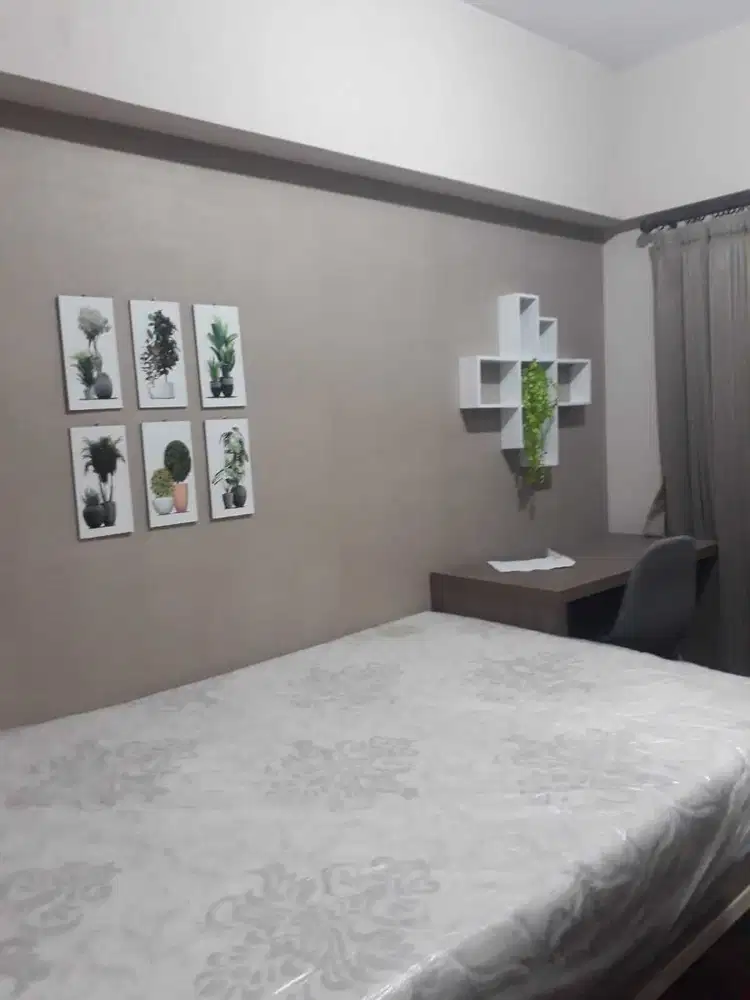 Disewakan Bulanan Tahunan Apartemen Tanglin Studio Pakuwon Mall