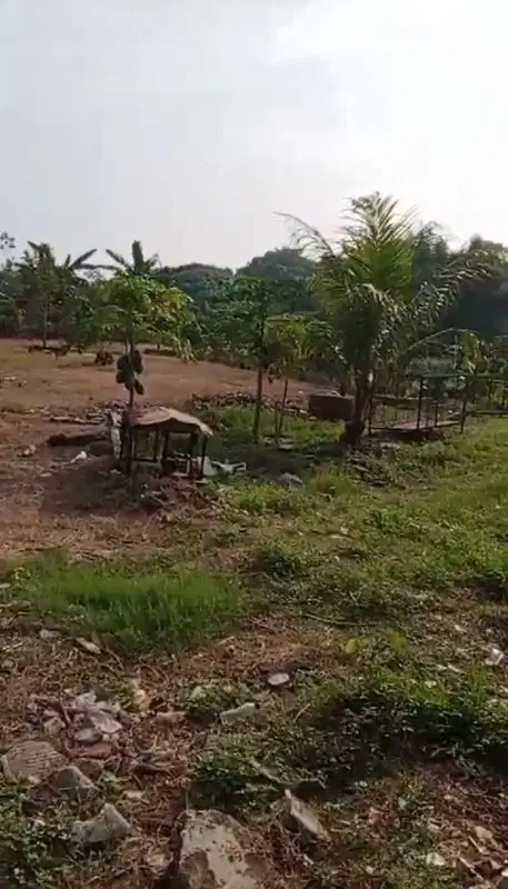 Lahan murah di kedaung Abdul Wahab Sawangan Depok