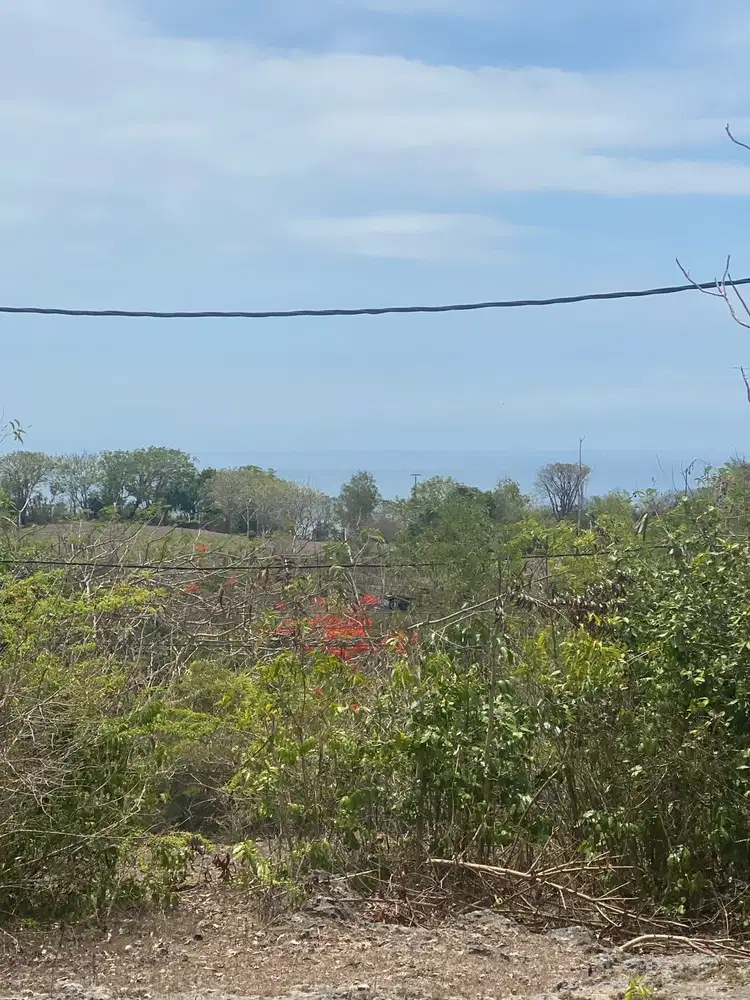 TANAH 75 ARE VIEW LAUT KAWASAN KARANG PUTIH PANDAWA