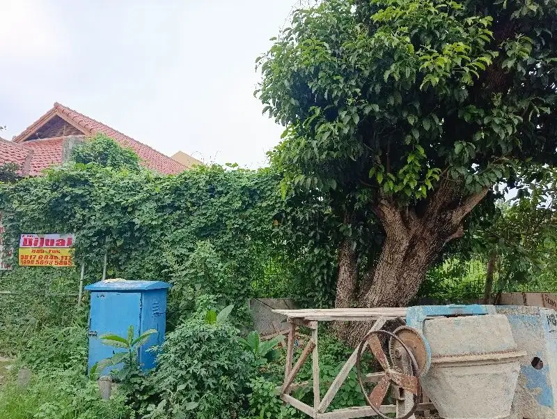 perumahan palem semi