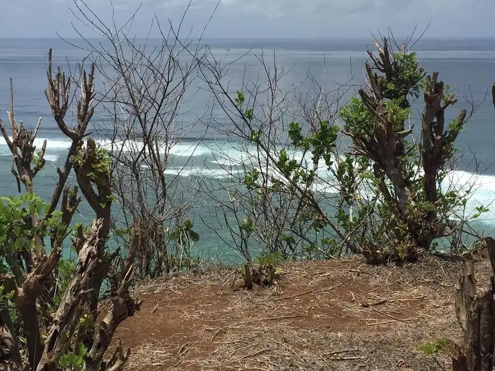 Tanah clifffront pantai pandawa