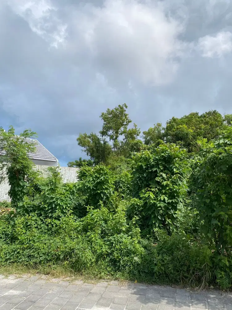 TANAH 338m² LINGKUNGAN VILA ELIT UNGASAN