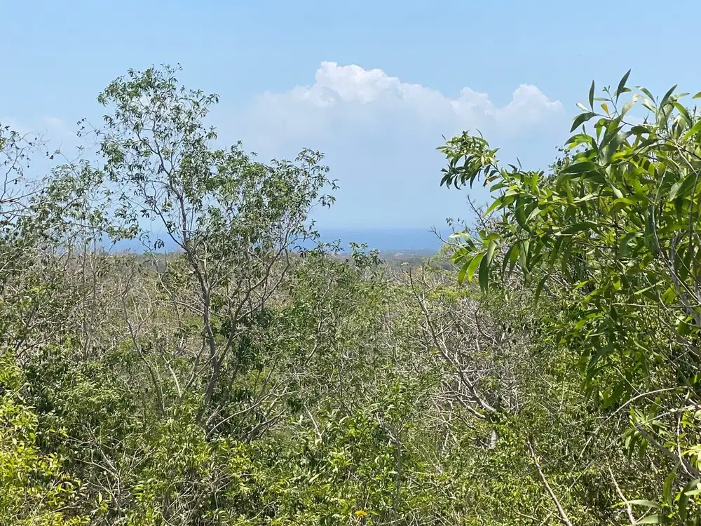 TANAH SEWA VIEW LAUT JALAN BONGANTIK NUSA DUA
