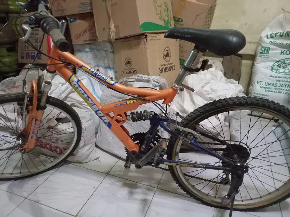 Sepeda MTB 24 Polygon rapid fullsusp 18 speed 450k