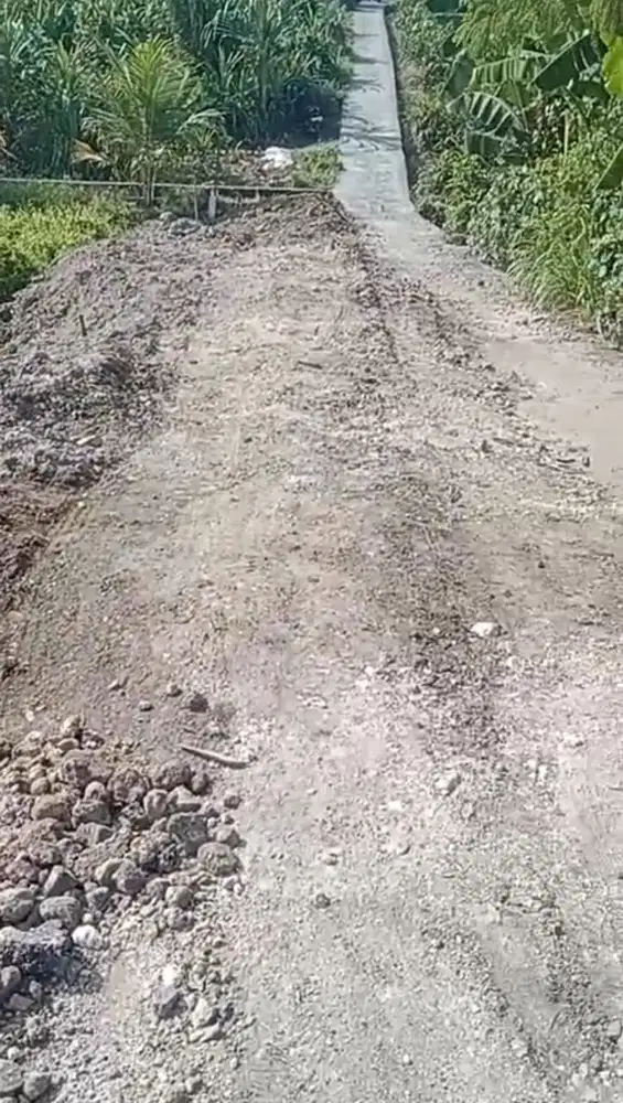 TANAH 1315m² KAWASAN TUMBAK BAYUH PERERENAN