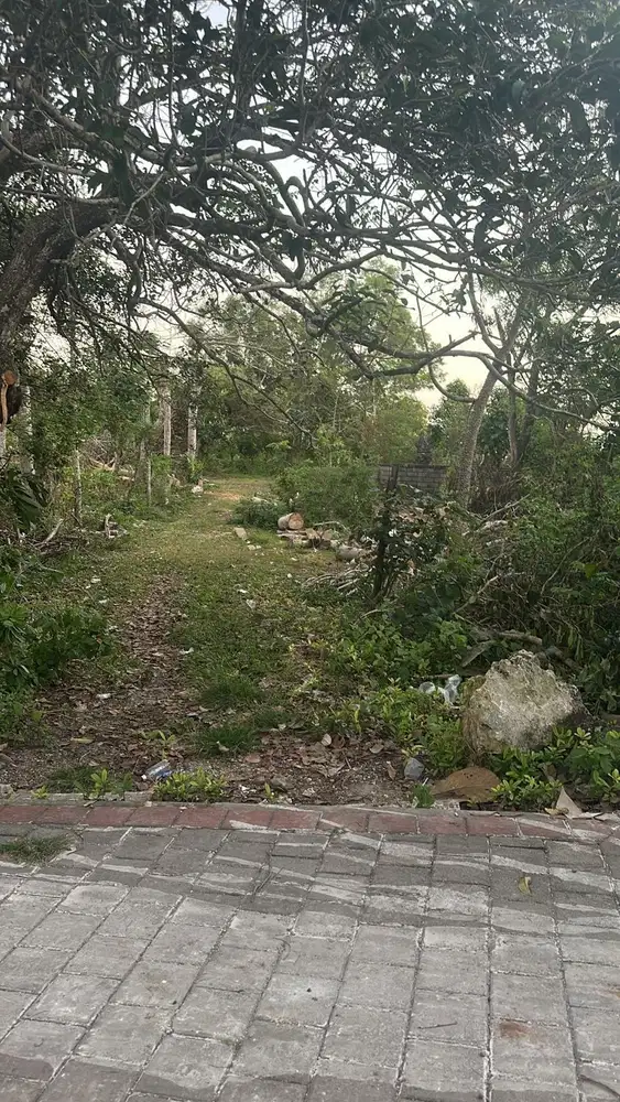 TANAH SEWA 1,5 HEKTAR LOS PANTAI DEKAT THE EDGE DAN SIXSENSE