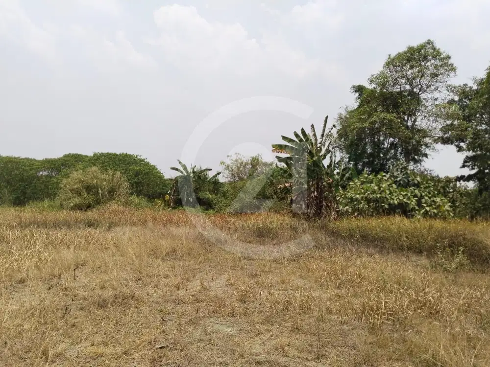 Dijual Tanah Cisauk Tangerang Hadap Timur