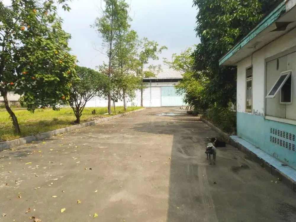 Jual Murah Lahan dan Pabrik Cikande Serang Tangerang