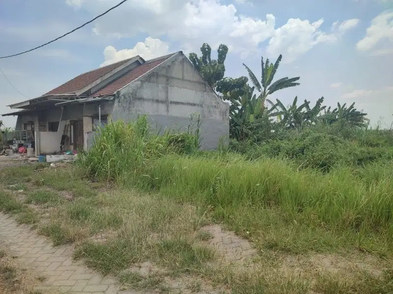 Domas Tahap 4 hanya 500 meter dari Raya Bringkang